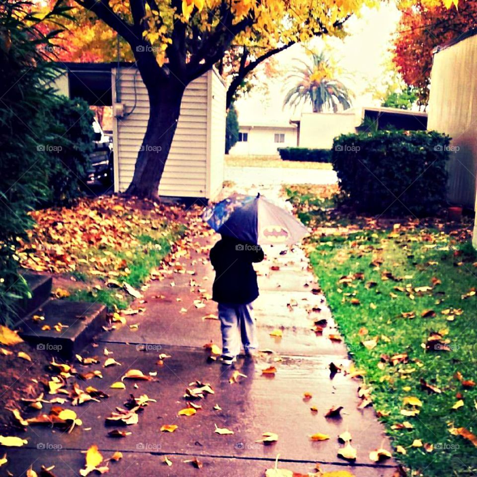 A boy & his umbrella