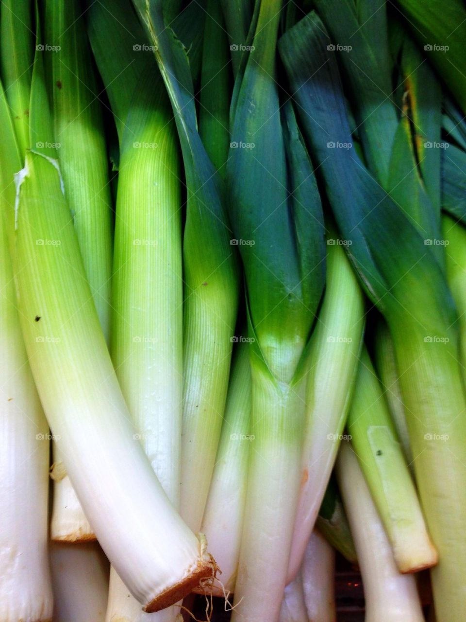 It calls Leeks!