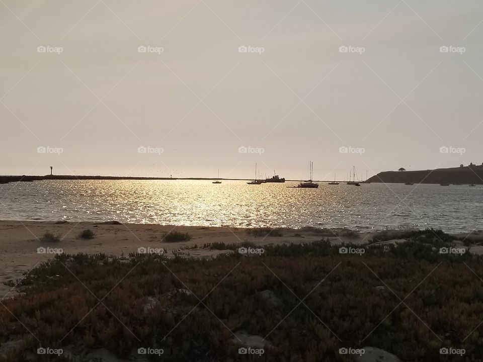 Water, Beach, Sea, Landscape, Sunset