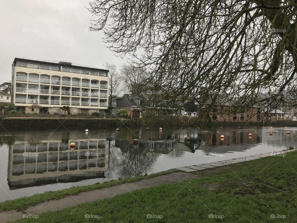 Reflective joy cheering a colorless day on the river. 