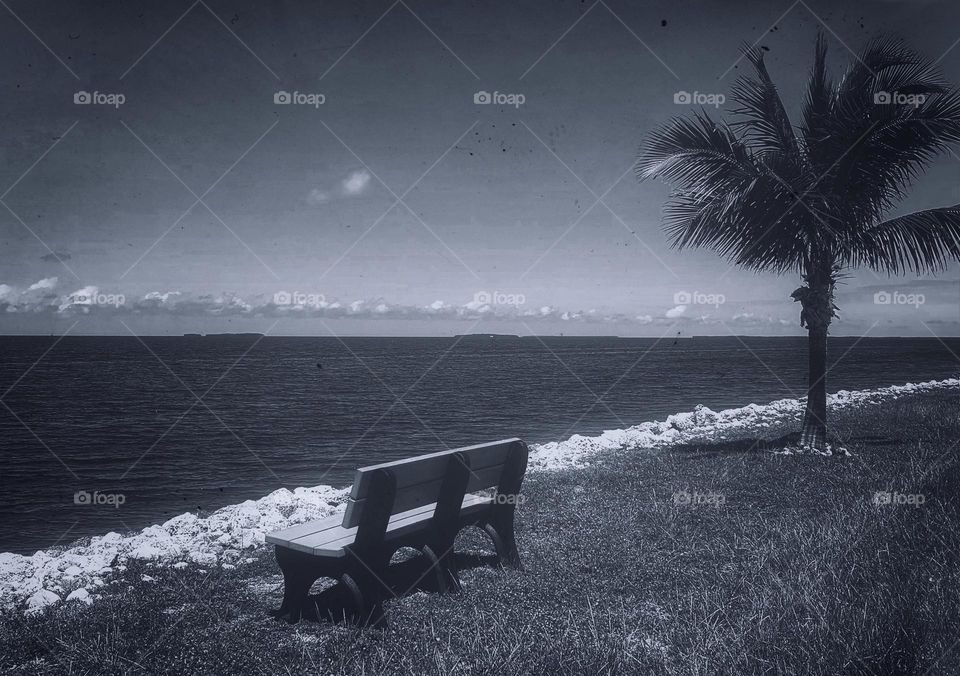 “LONGING” - Sitting on a bench and wishing you were with me.