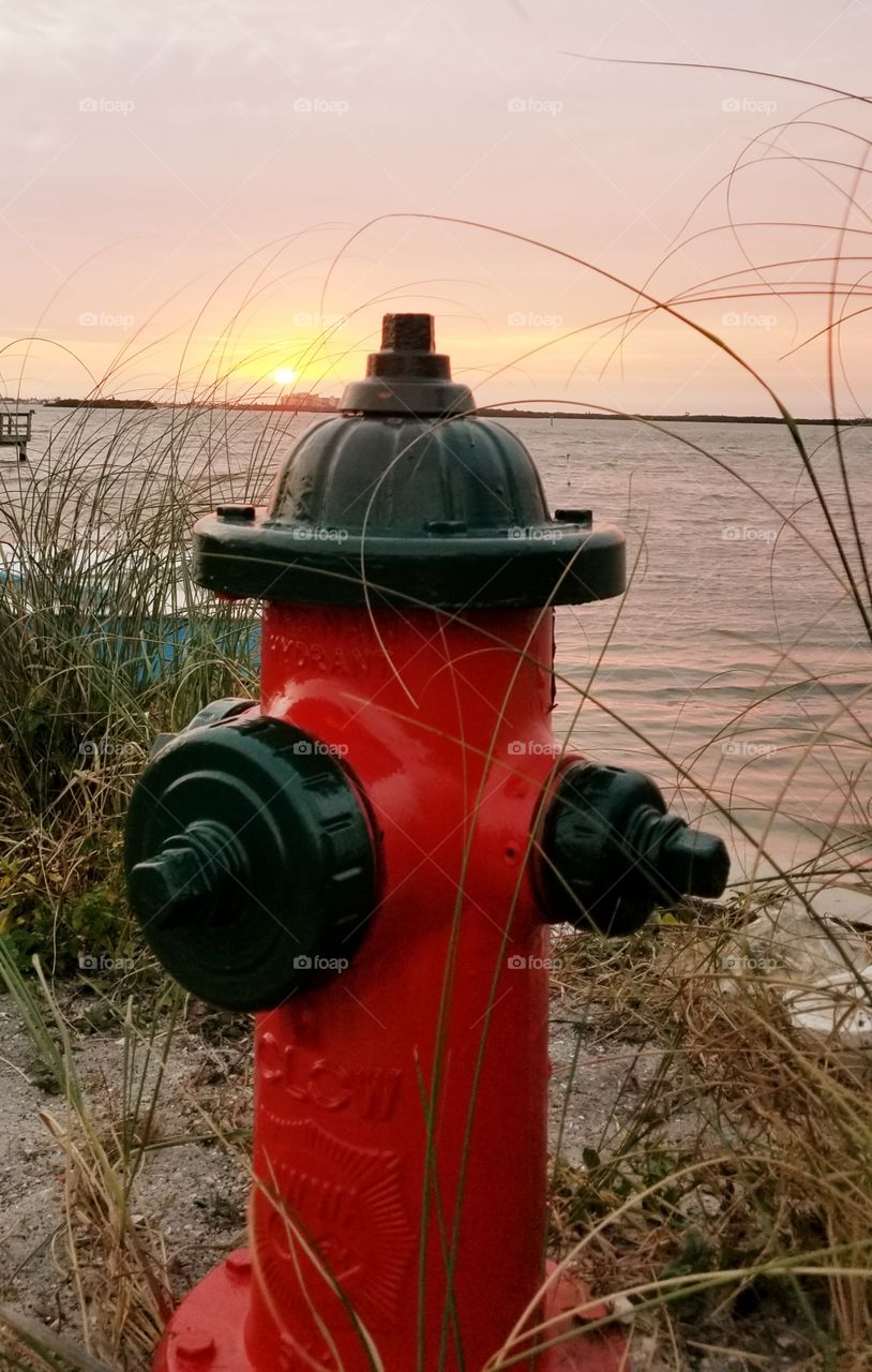 Red fire hydrant