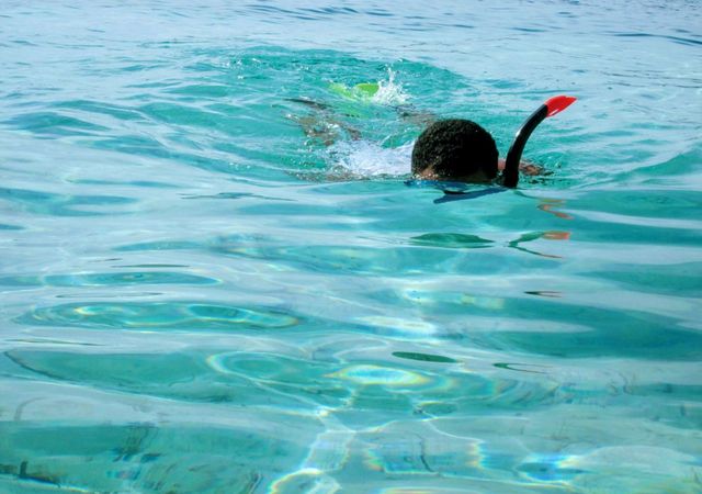 time to see life under the water