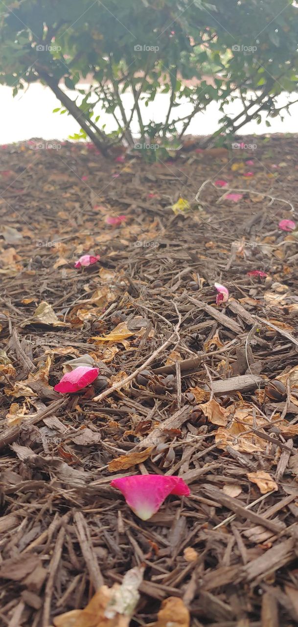 the path we are on may have been walked by few