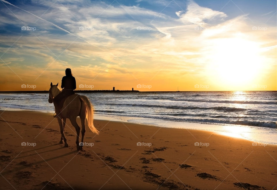 sunset with horse on beach 