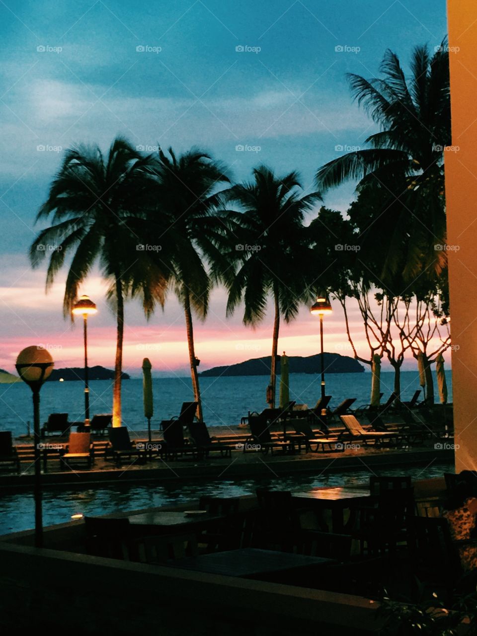 sunset,coconut trees,pool. beautiful scenic view
