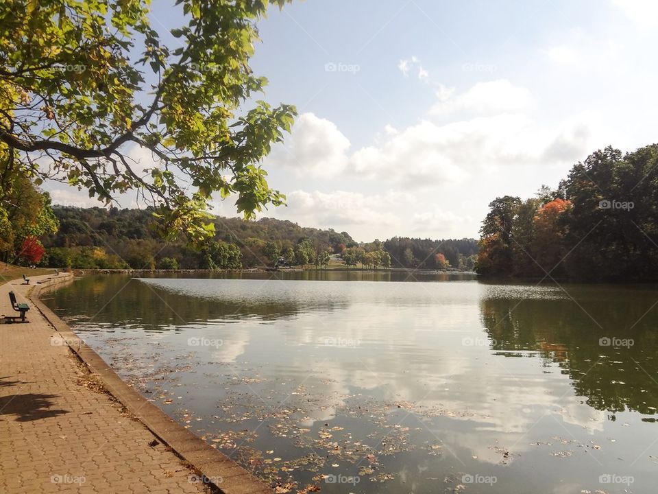 Fall lake with leaves