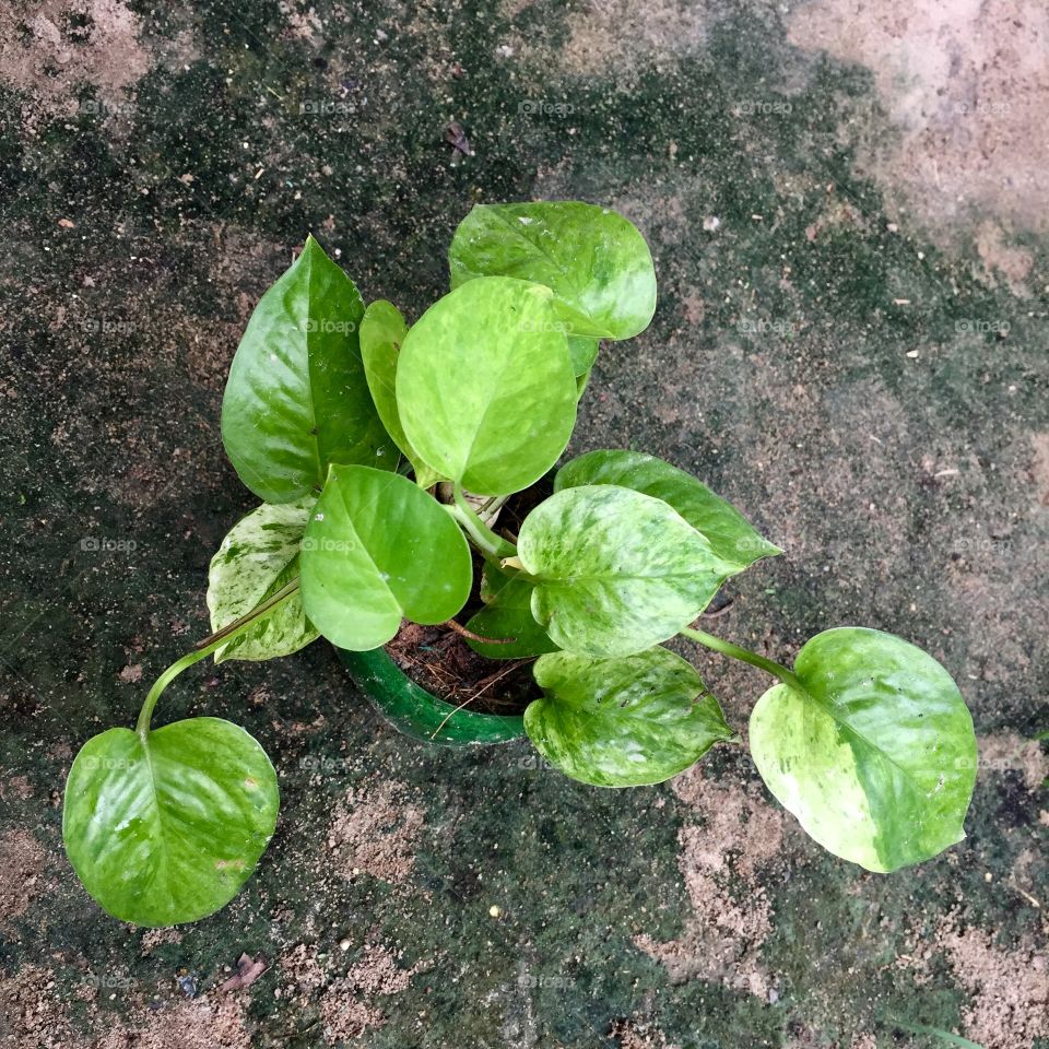 Home is where the pants are 