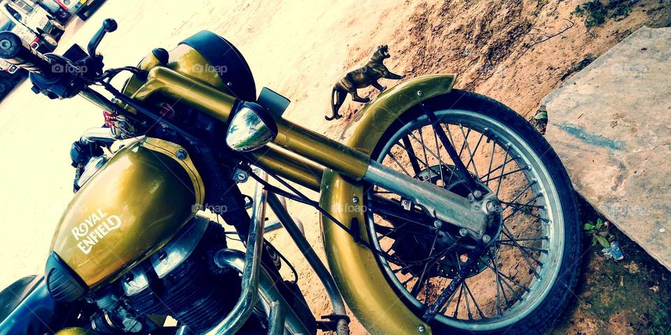 royal Enfield