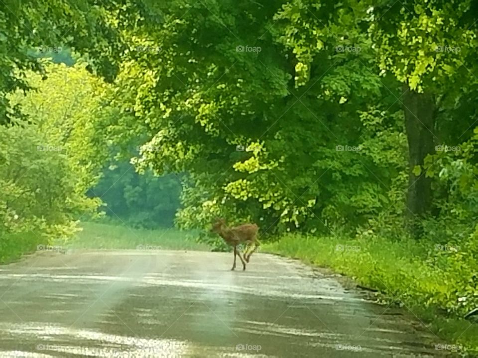 Driving the Back Roads and enjoying everything around us