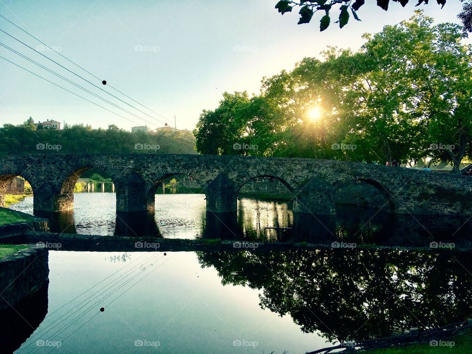 Roman bridge and tree Reflection 