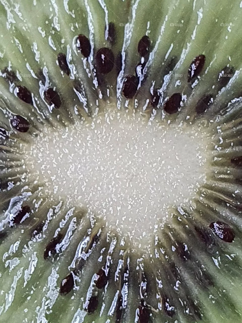 Kiwis heart is broken