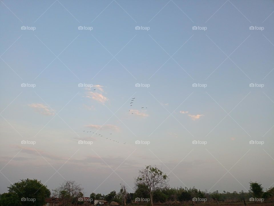 it is very nature image of good👍
so cute awesome
wow yaar kya kahna iss Mausam ka