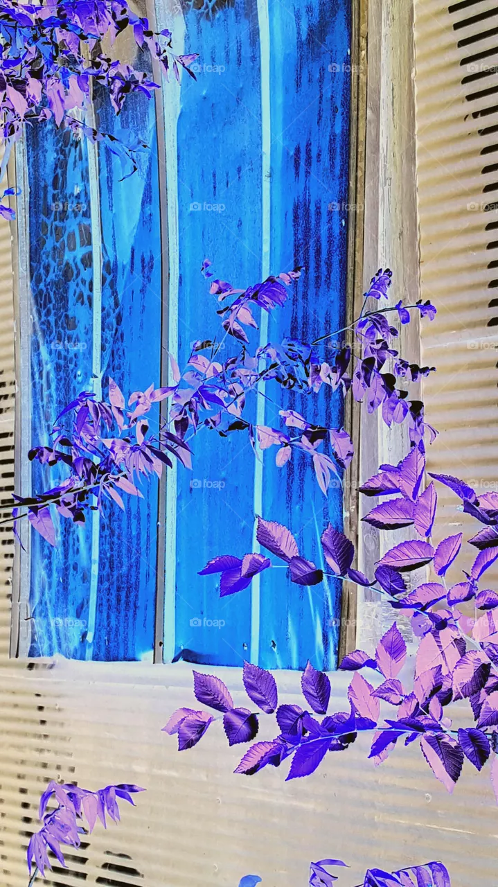 Blue