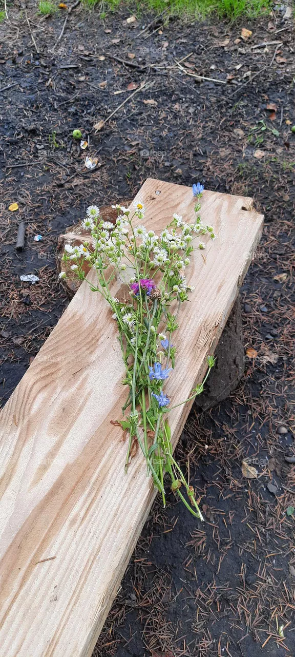 forgotten flowers