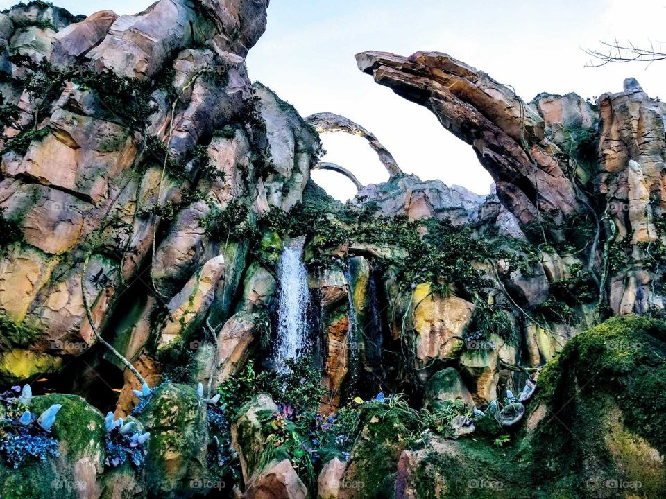 Pandora, The World of Avatar at Disney World