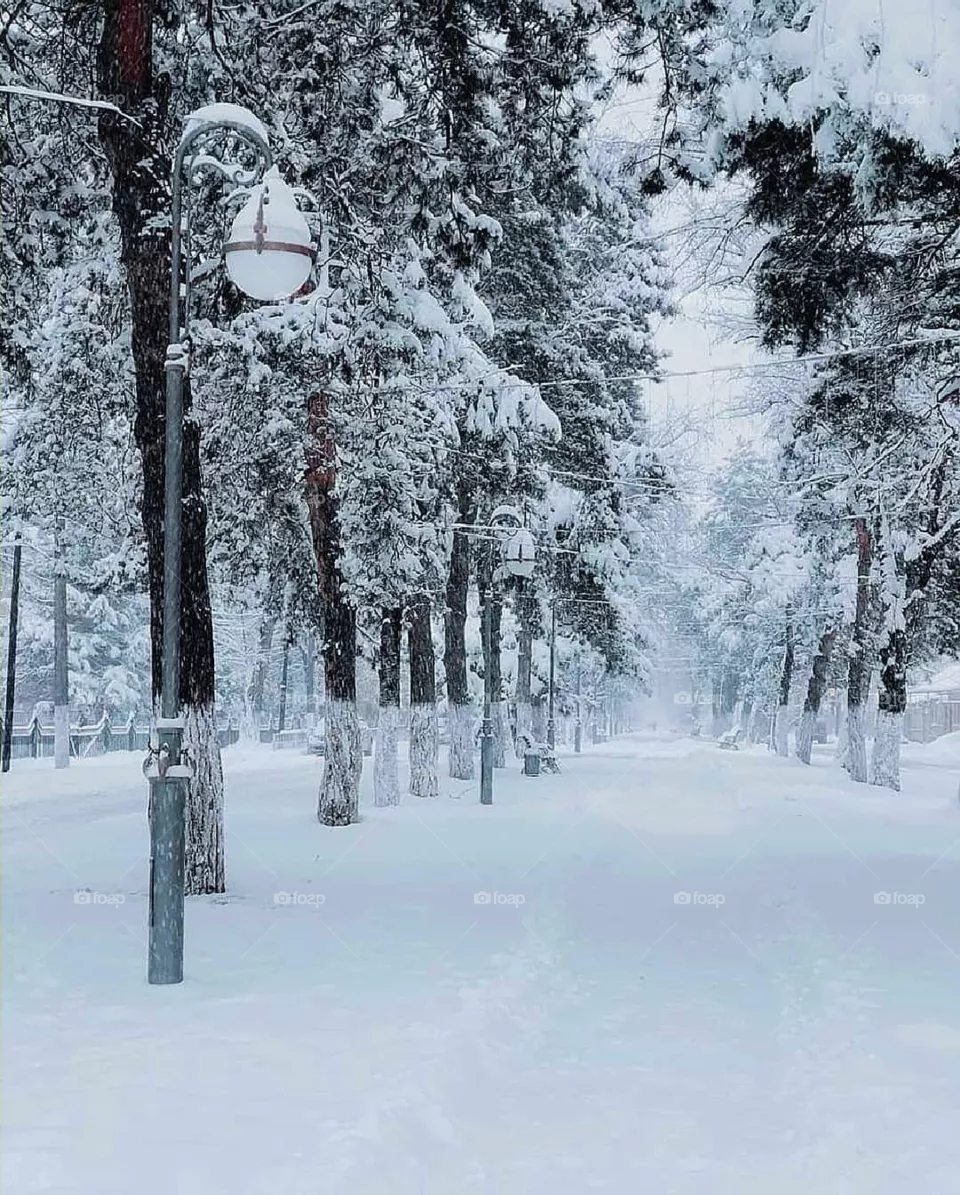 Winter ..