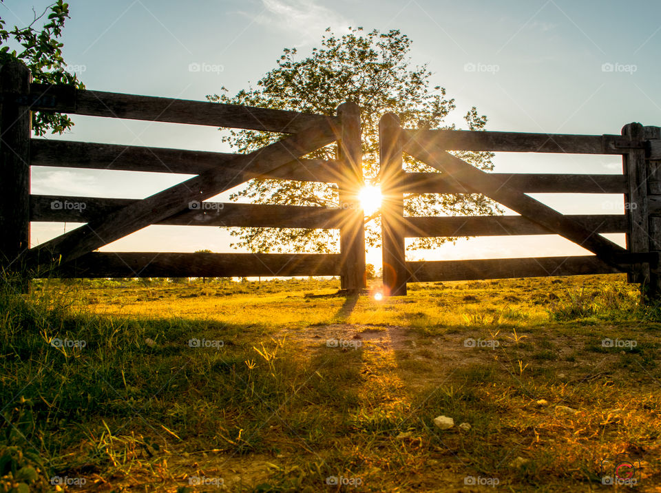 Sunlight on gate