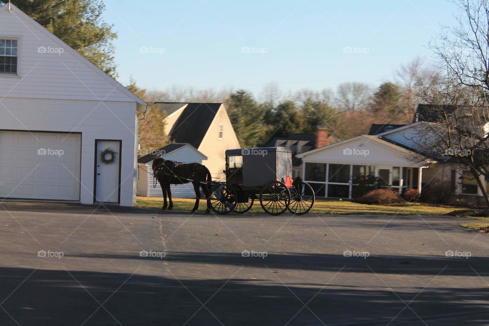 Horse & Buggy. Taken in Lancaster County, Pennsylvania