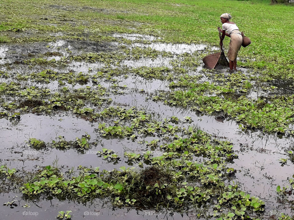 Fishing with Jakoy and Khaloy.

Jakoy and khaloy make from bamboo.
Northeast Assam peopls use to fishing Jakoy and Khaloy.