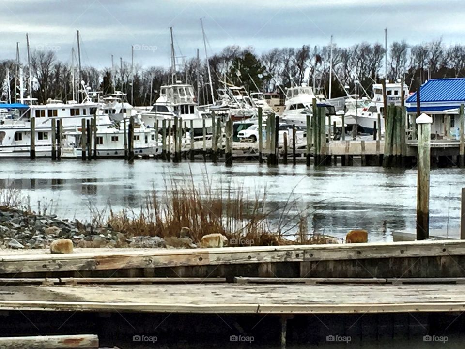 boats in Lewes, De