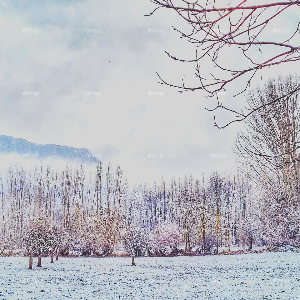 Pirineos en invierno