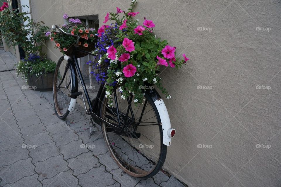 Studded Bicycle with flowers