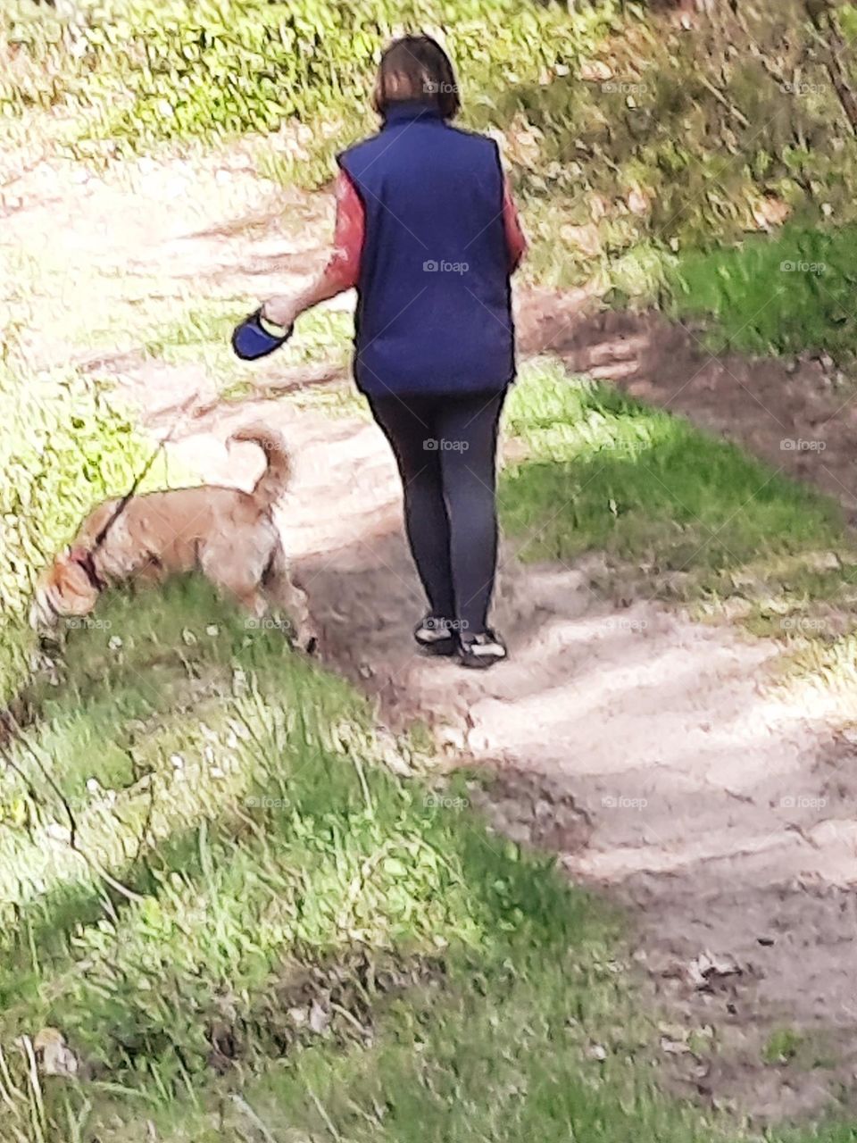 woman walking with a dog