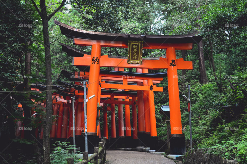 Orange gate in Japan