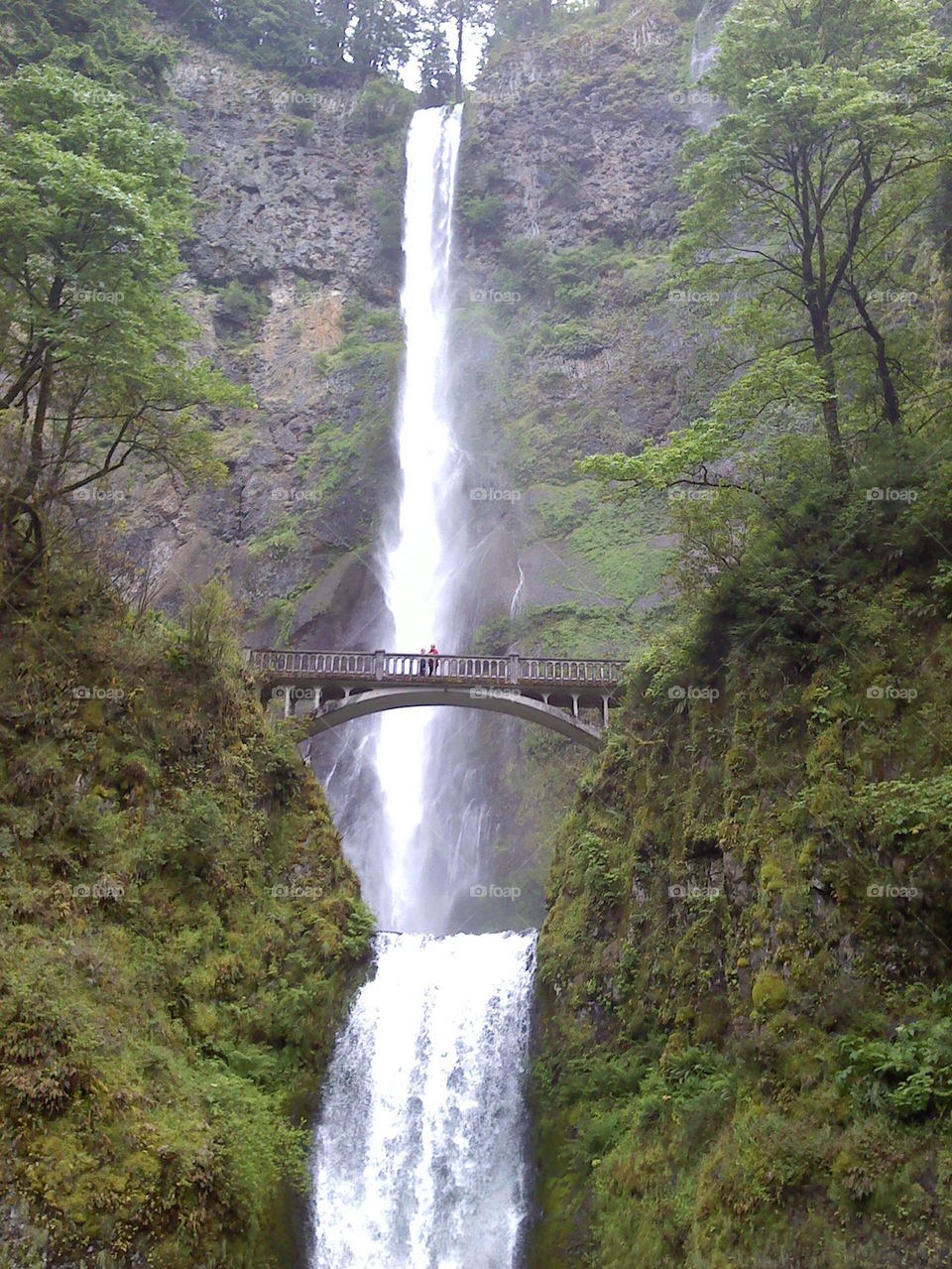Multnomah Falls
