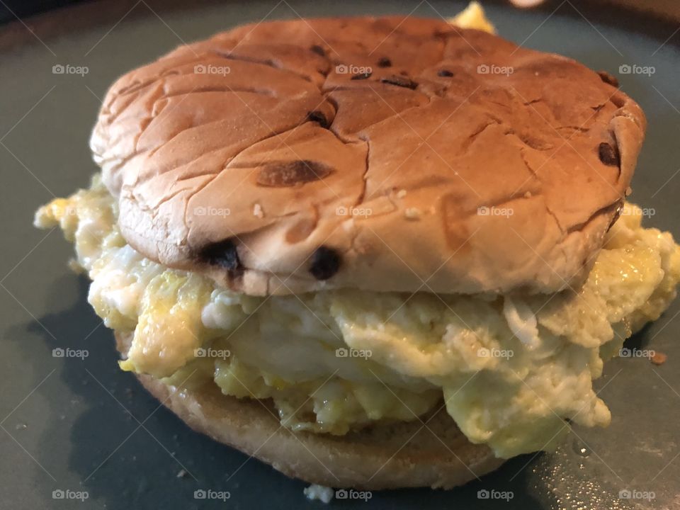 Scrambled egg on toasted onion bun