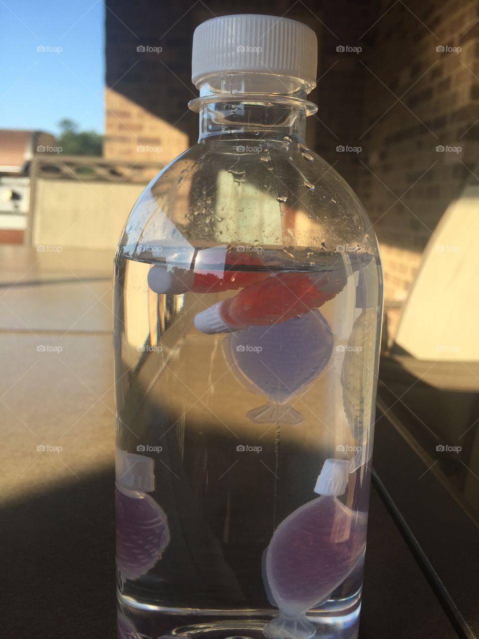 Fish in a bottle