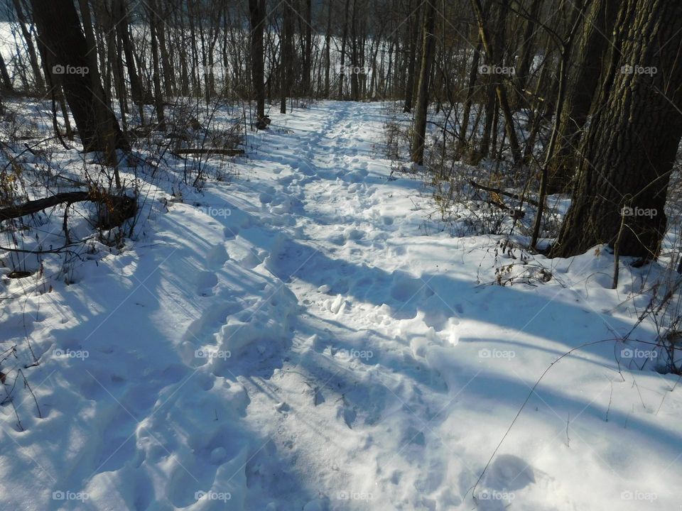 Majestic Winter hiking trail 