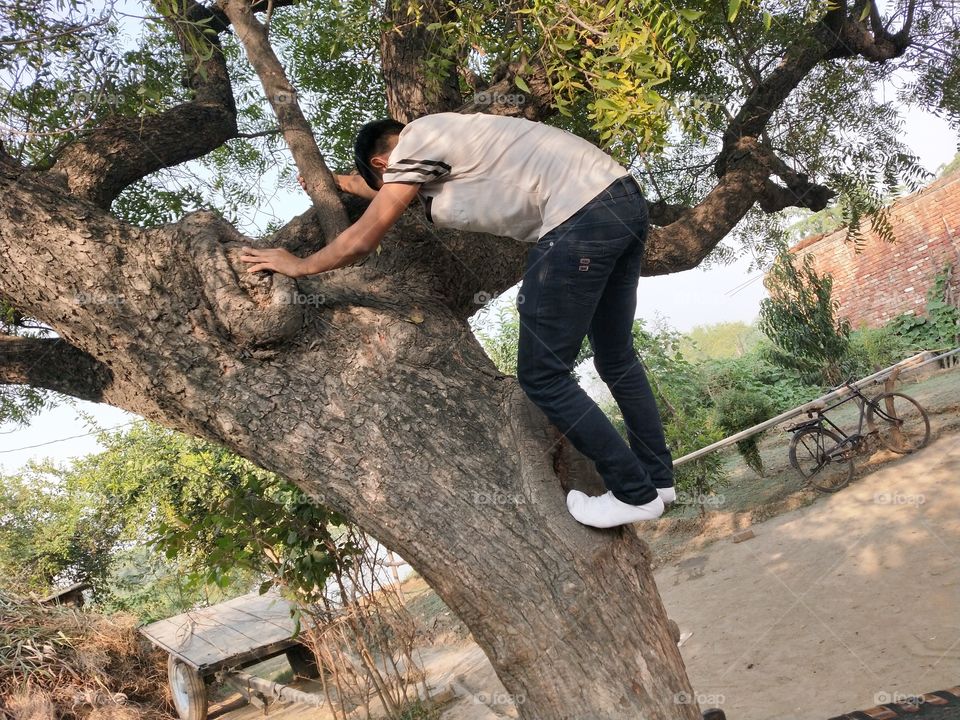 Captured this shot while my younger brother was enjoying this fun activity of tree climbing in our village.❤️📸