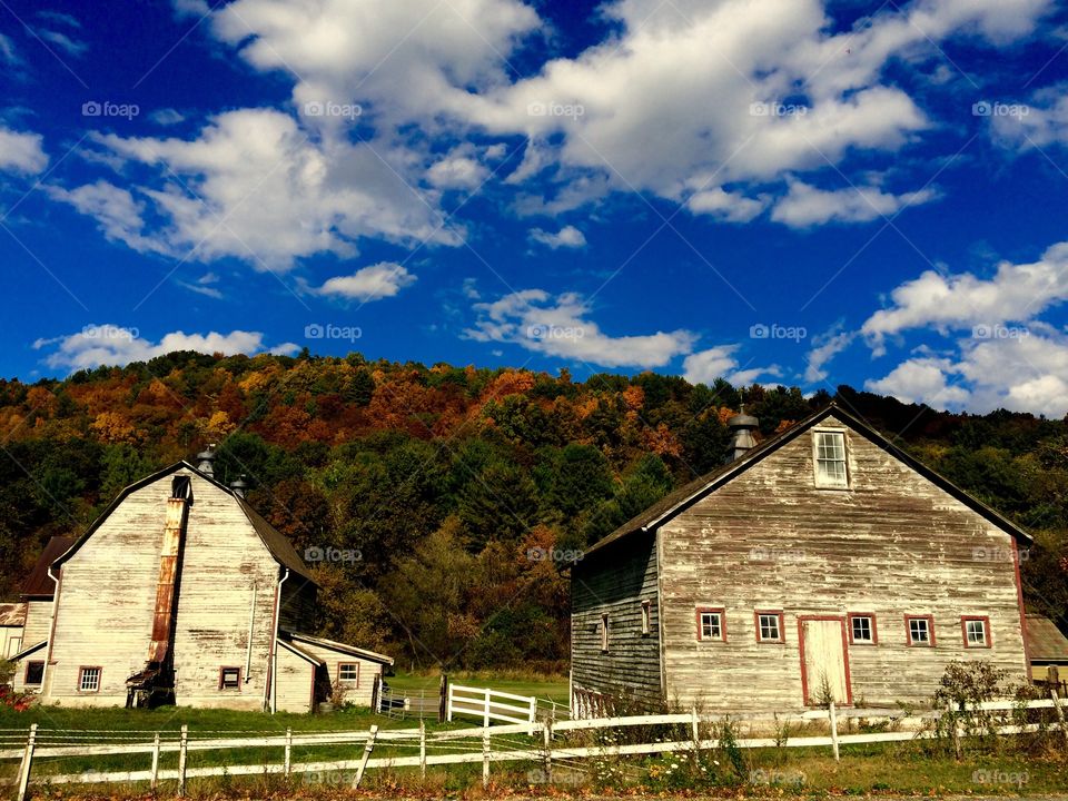 Vermont 