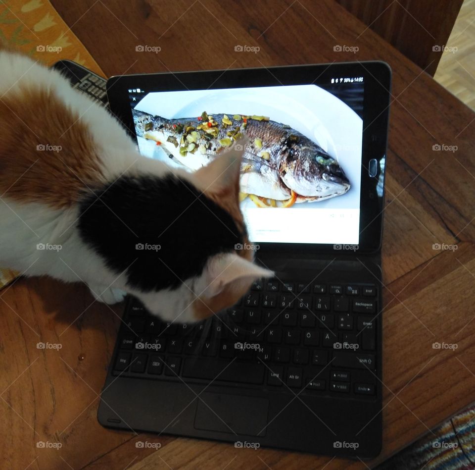 Touchpad mit Katze
Touchpad with cat