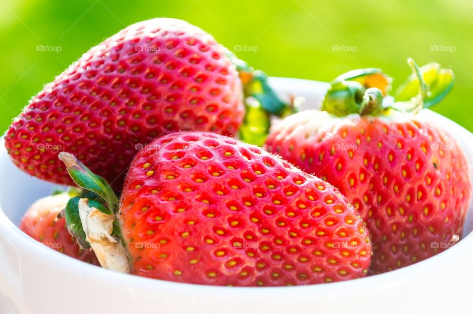 Strawberries . Healthy strawberries in the sunshine