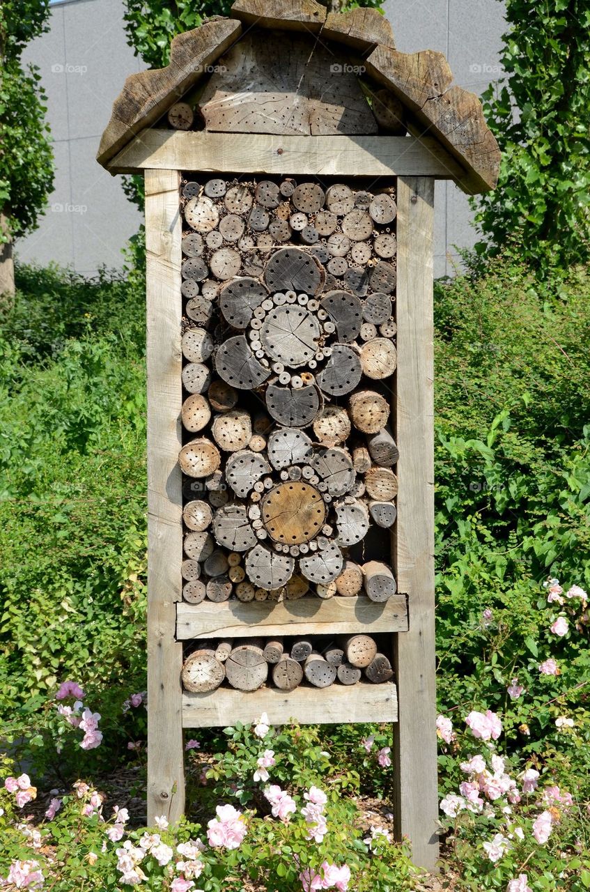 Man-made beehive in Antwerp.