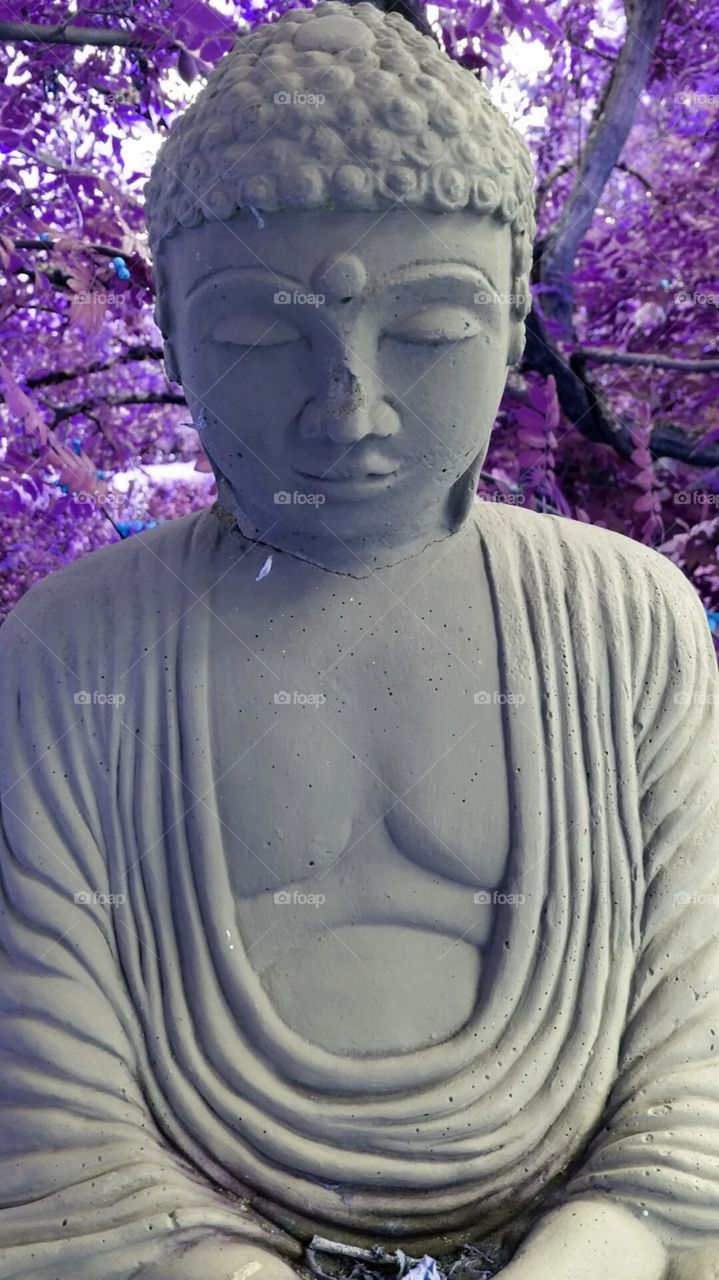 Tranquil Buddha