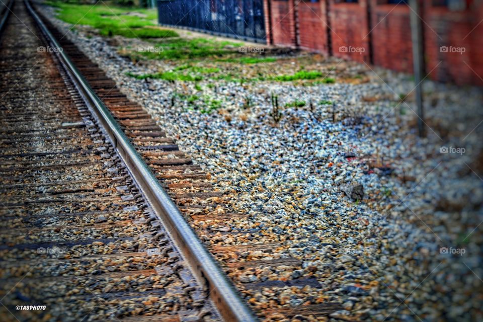 Railway, Railroad Track, Locomotive, Train, No Person