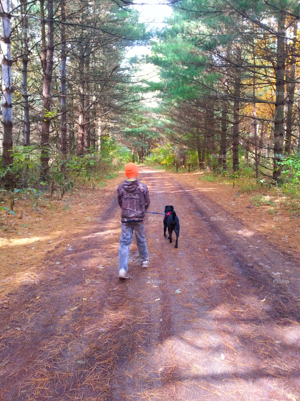 out for a walk. my son with our lab.