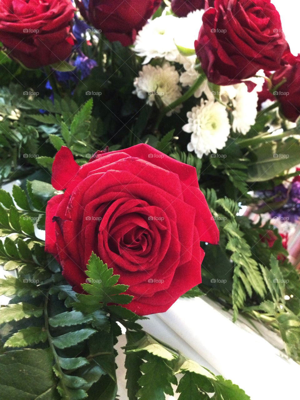 Some beautiful roses from a funeral