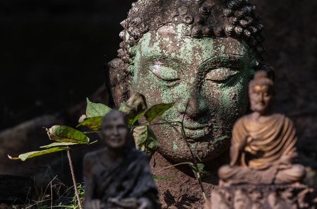 keep smiling with serenity