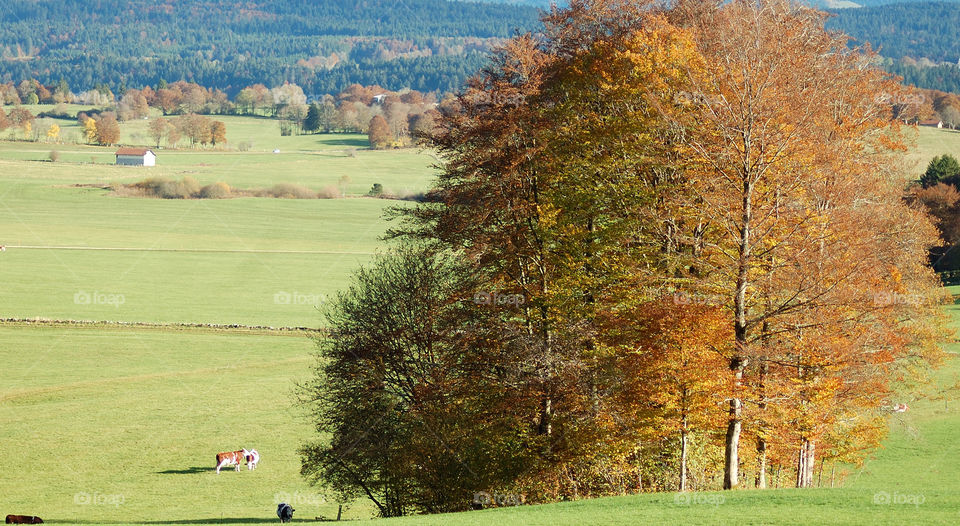 Promenade dans le Doubs