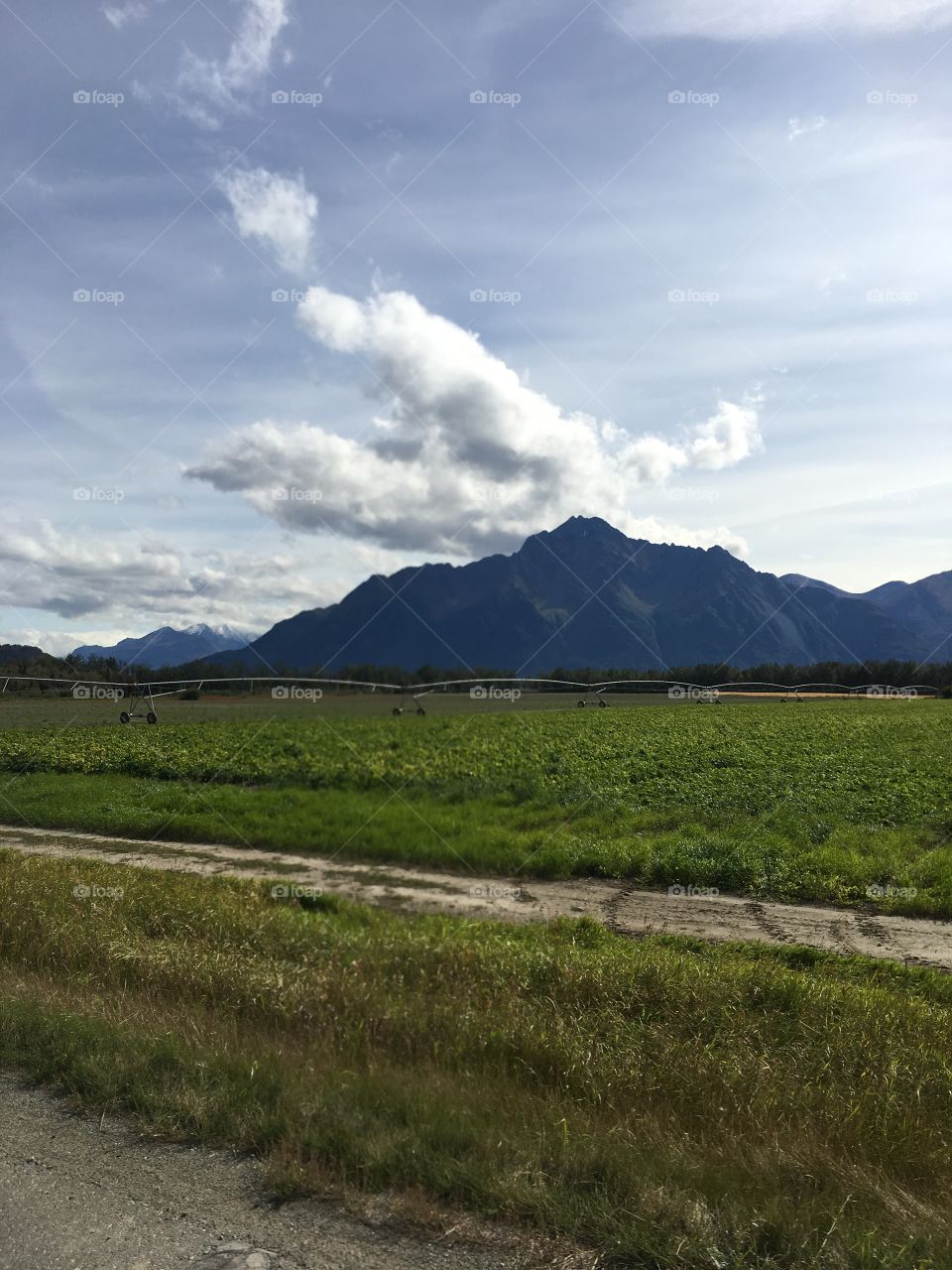 Alaska farm land