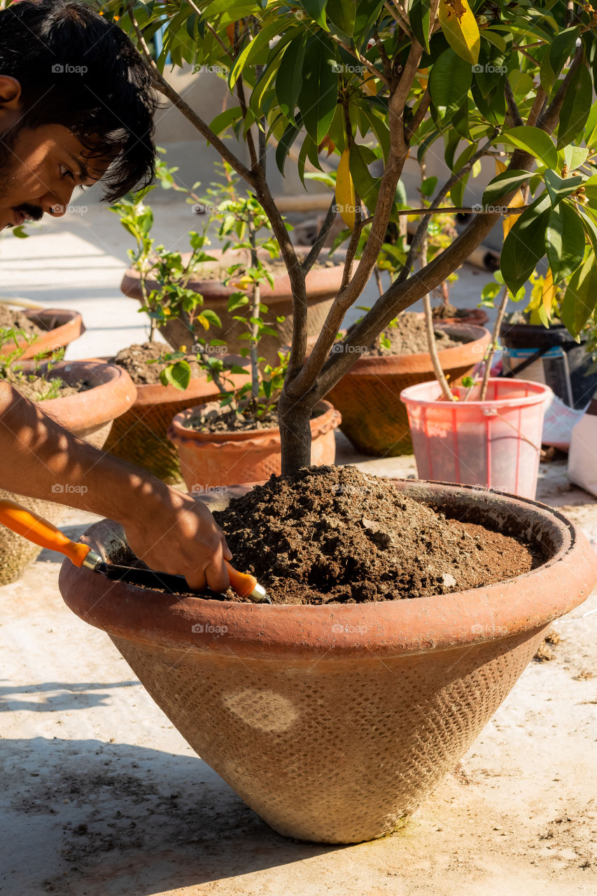 Gardening