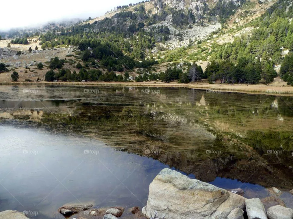 lago