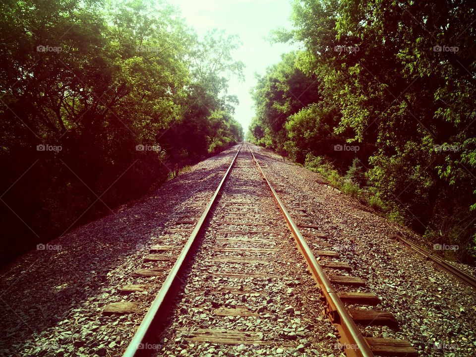 Railroad tracks perceptive shot