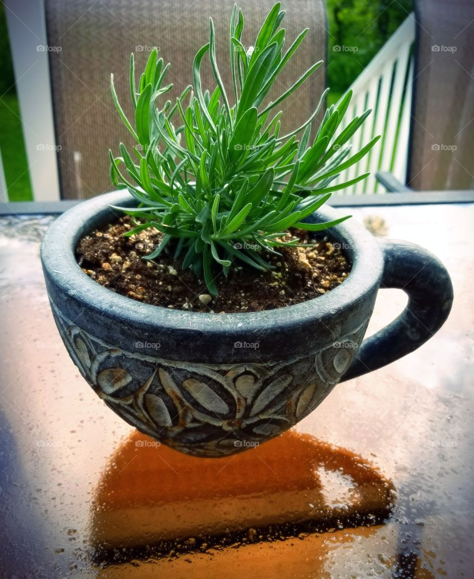 Adorable plant holder,  in the shape of a jumbo coffee mug, with a bright green succulent plant planted in it.