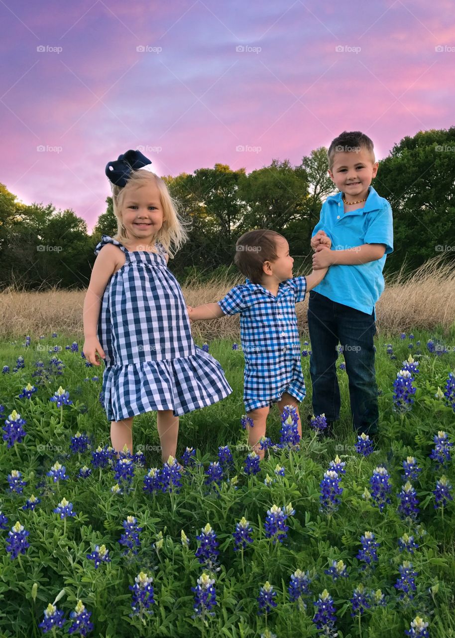 Bluebonnets!